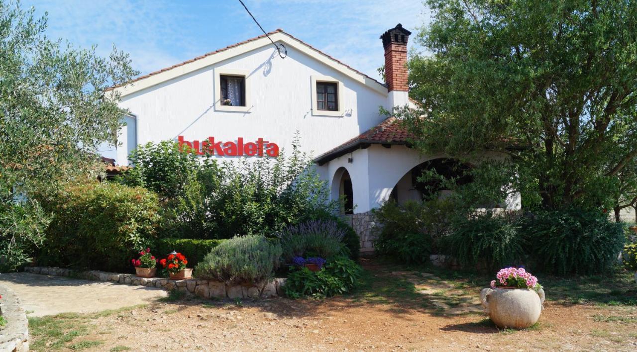 Sobe Bukaleta Loznati Bed & Breakfast Exterior photo